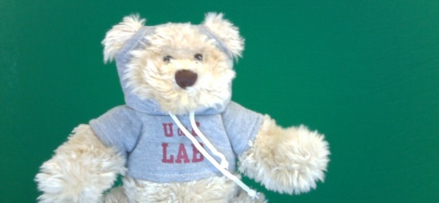 Green Screen Bear